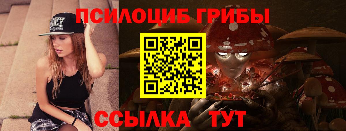 Тавда  Псилоцибиновые грибы GOLDEN TEACHER  Псилоцибиновые грибы прущие грибы  Вход с VPN 